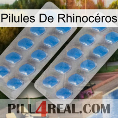 Pilules De Rhinocéros 23